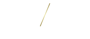 Diogo Gaspar Logo light